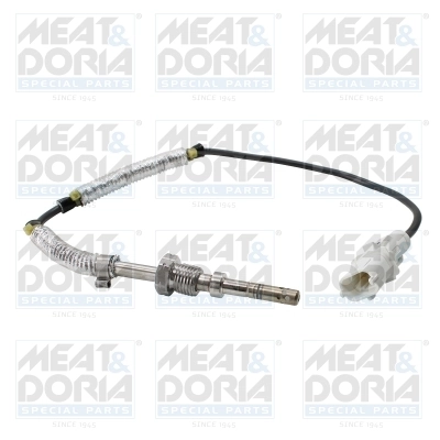 Sensor, exhaust gas temperature